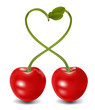 cherry heart in vector, contains gradient mesh elements