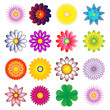 vivid flower background