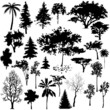 Tree, leaf, branch and grass  silhouettes.