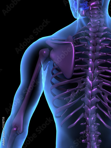 Illustration: X-ray illustration of male human body and skeleton X-ray illustration of male human body and skeleton