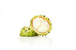 Conker Horse-Chestnut