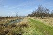 Hochmoor - Dosenmoor