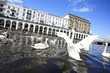 Foto: Hamburg, Alster, Schwan Hamburg, Alster, Schwan