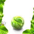 Boule écologique fond blanc Boule écologique fond blanc