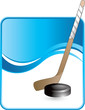 classy hockey puck and stick