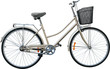 Beige bike on white background