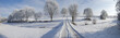 Winter panorama