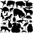 Photo en ligne au meilleur prix Wild Animals Silhouettes