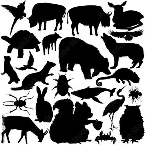 silhouettes of animals. Wild Animals Silhouettes
