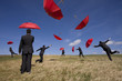 Insurance solution Insurance solution