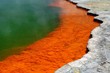 Champagne Pool