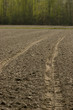 agriculture