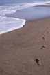 foot on beach