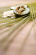 Foto: Sushi_Maki Sushi_Maki