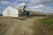 Elevage industriel de volailles - Côtes d'Armor (Bretagne)