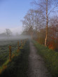 der Feldweg