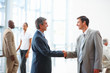 Confident business people shaking hands