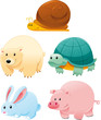 Funny animals Funny animals