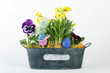 Foto: Ostern Ostern