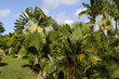 France, Martinique, Habitation Clément France, Martinique, Habitation Clément