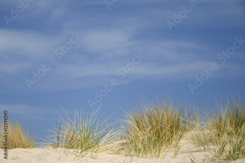 Foto: Dünenlandschaft Dünenlandschaft