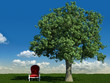 armchair and tree in the meadows