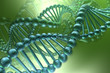 dna spiral