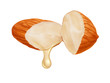almond oil