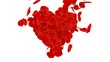 Rose Petals Heart