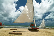 Fishermen's sailing boats, brazil