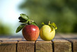 Photo en ligne au meilleur prix apples