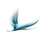 abstract bird