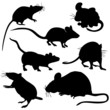Mäuse