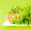 fresh green salad with prawns