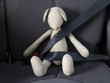 Photo en ligne au meilleur prix seatbelt