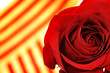 sant jordi
