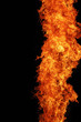 Fire Fire