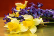 yellow daffodils on red background