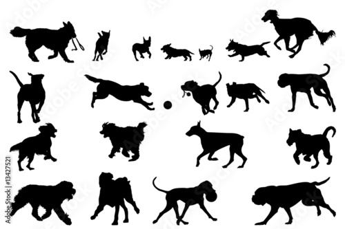 Vector: dog running silhouettes, design elements dog running silhouettes, design elements