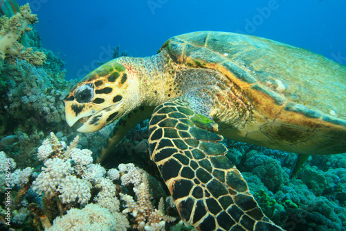 Description: National Aquarium | Happy 40th Birthday, NOAA's National ...