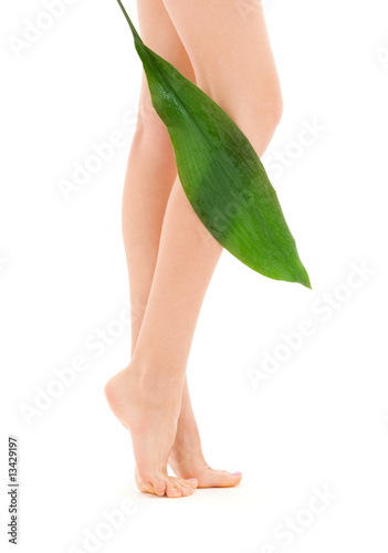 Photo: female legs with green leaf female legs with green leaf