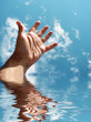 Reaching for sky