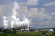 Palm Oil Factory