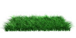 Gras freigestellt