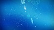 Winter holiday snowflakes (1052)