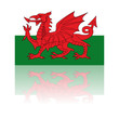 official flag of wales with shadow official flag of wales with shadow