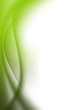 abstract background green curves abstract background green curves