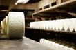 roquefort en affinage roquefort en affinage