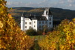 Weinberg Mosel Schloss Berg Nennig Casino