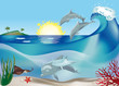  Ocean Life..